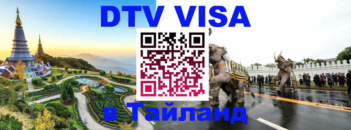 Оформление DTV визы под ключ: стоимость и тарифы, только загранпаспорт - Бердск 